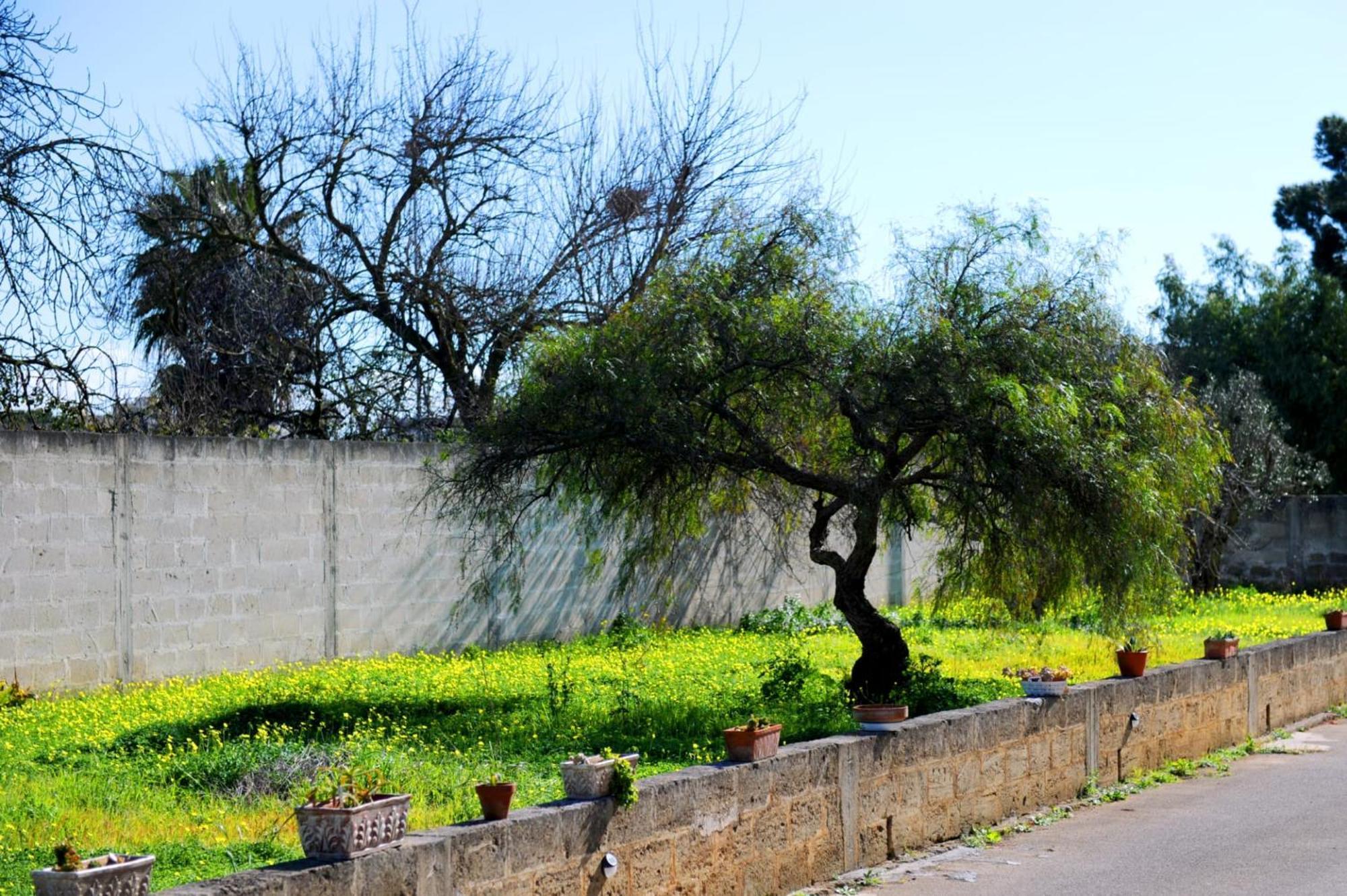 Le Residenze Salentine - Case Vacanza In Lecce Luaran gambar